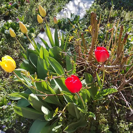 Gruentenblick ホテル 3*